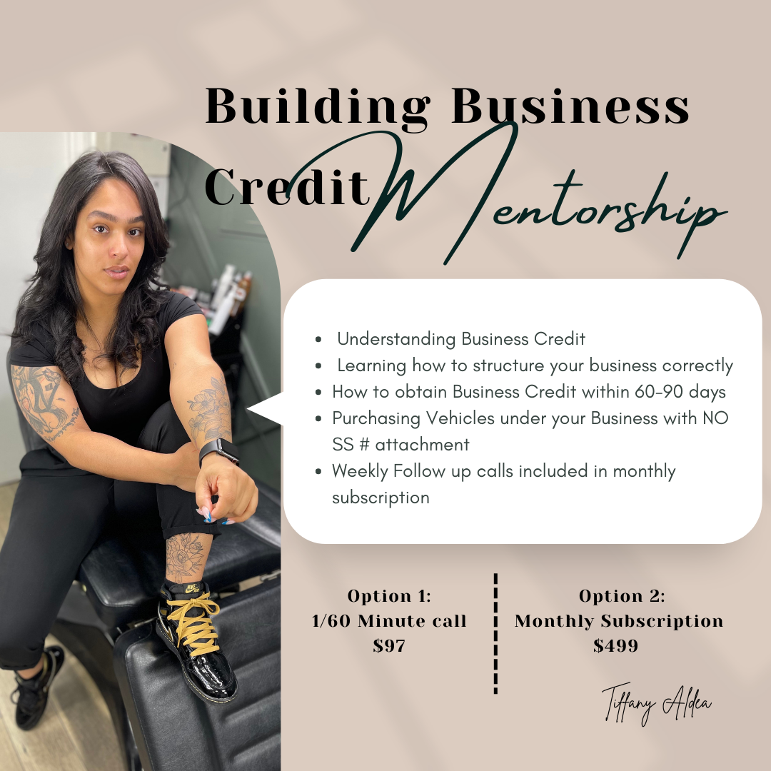 Business Credit Mentorship